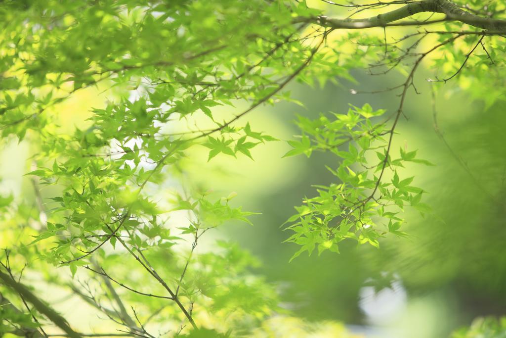 Oushuku Onsen Choeikan Shizukuishi ภายนอก รูปภาพ
